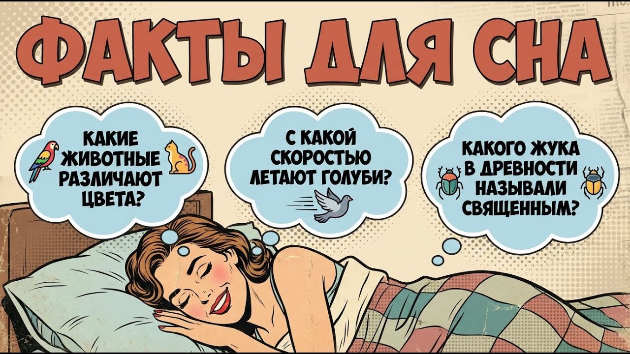 Засыпайте за 5 минут с помощью ИНТЕРЕСНОГО видео для сна