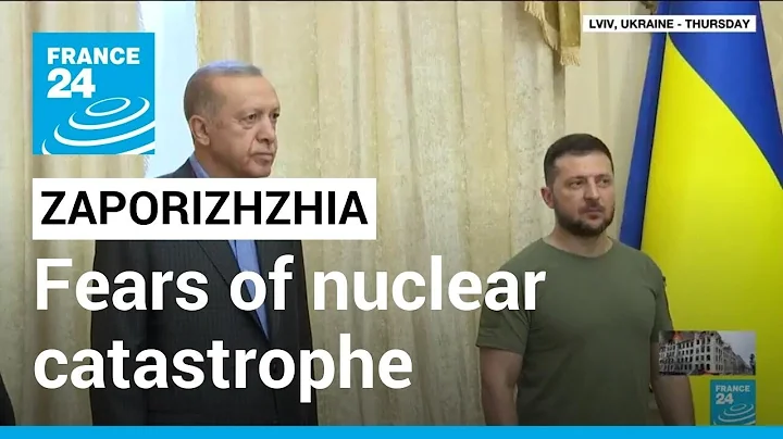 Leaders of Ukraine, UN seek to secure Russian-held nuclear plant • FRANCE 24 English