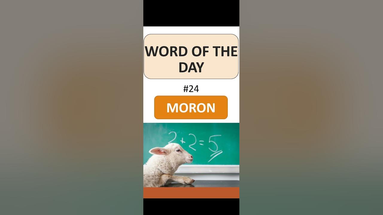 Word of the Day: Loll