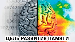 Развитие и взаимосвязь речи и мышления