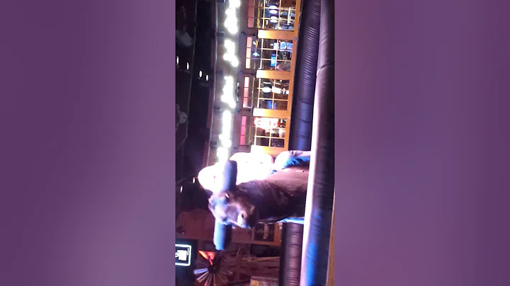 Christine bull riding