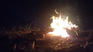 Fuoco Vicino Alloceano Suoni Natura Sud India 4K