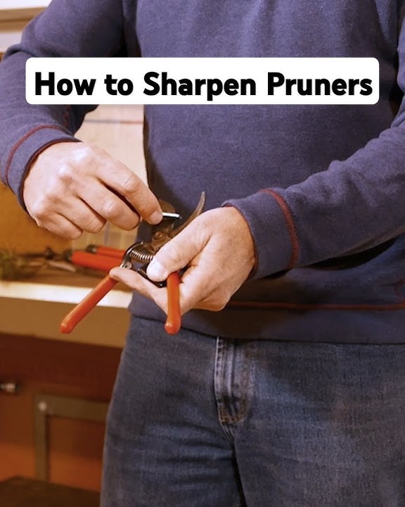 How to Sharpen Pruning Shears for Effortless Pruning