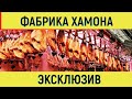 Посещение фабрики по производству хамона. Валенсия. Испания.