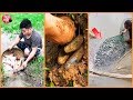 🦀 Tik Tok Trung Quốc 🐌 Bắt Tôm, Cua, Ốc, Cá Tại Đồng Ruộng, Sông Suối, Núi Đồi P5 Catch Crab Fish