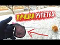 Лучшая рулетка для собак. Послушный шпиц Бэлла