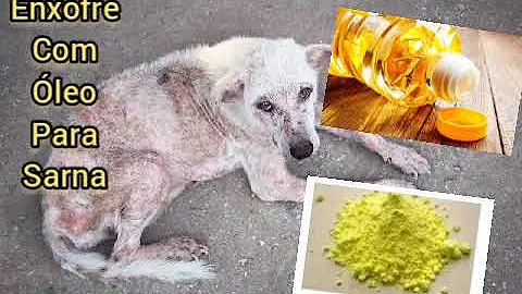 Para que serve enxofre em pó para cachorro?