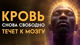 Ваш мозг оживёт за один сеанс! Кровообращение, энергия, ясность | Исцеляющая Медитация