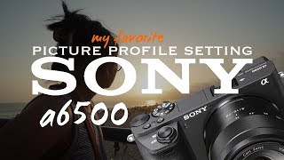 Sony a6500 | My Favorite Picture Profile Setting For Cinematic Videos