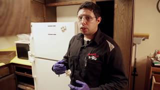 Roach Fog Treatment (Rumble Fish Pest Control)