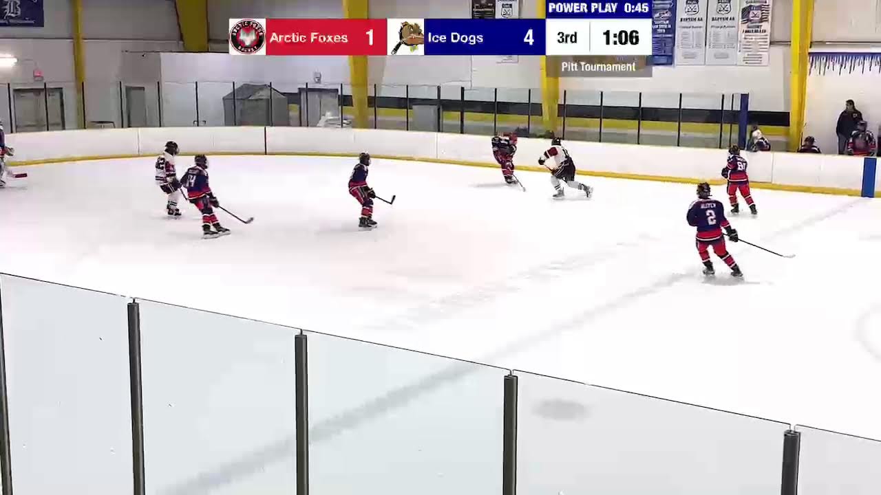 Arctic Foxes 16U2 vs. Northern VA Ice Dogs 1/16/2026