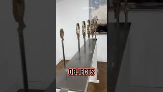 Anamorphic Sculpture Macaw To Chaos In One Angle Shift