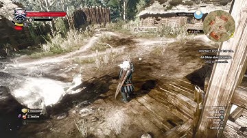 The Witcher 3  killing first noon wraith on death march no damage