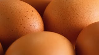 Why Do Eggshells Sometimes Have Weird Bumps and Spots?