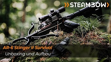 Unboxing und Aufbau AR-6 Stinger II Survival