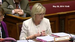 Information Health Committee Meeting 28 May 2014 Update