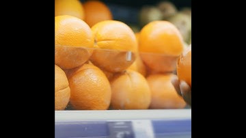 EBT Card: 2025 Information Breakdown