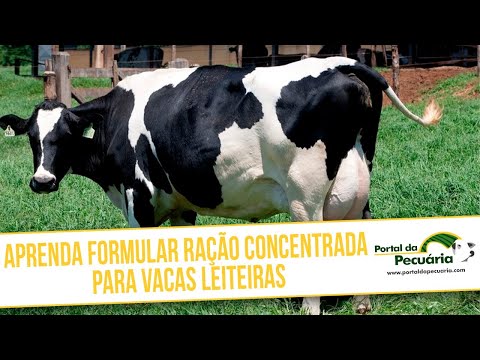 Aprenda formular ração concentrada para vacas leiteiras