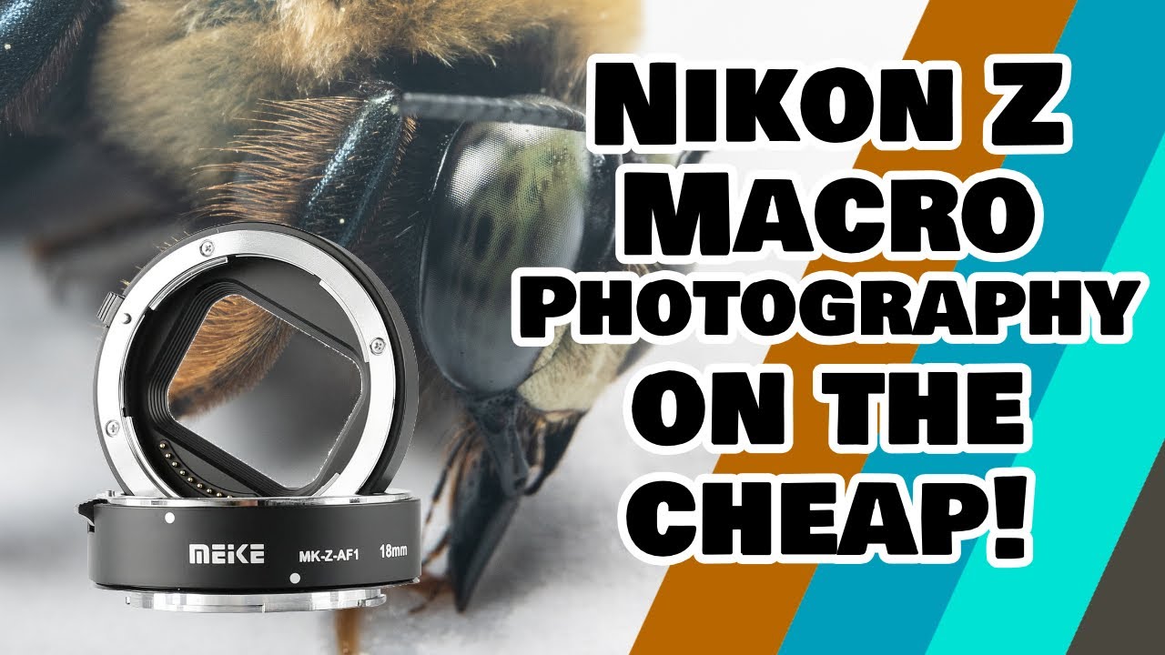 Nikon Z Macro Photography on the cheap! YouTube