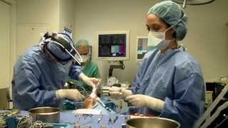 Functional Endoscopic Sinus Procedure & Rhinoplasty, Performed By Nyc Ent Dr. Robert Guida