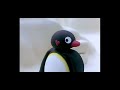 Pingu S Hysterical Laugh After He Got His First Kiss Pingu S Hysterical Laugh After He Got His First Kiss