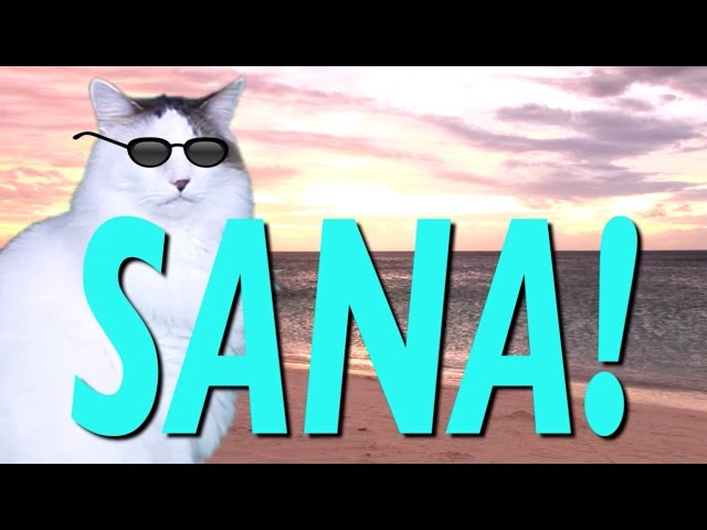 HAPPY BIRTHDAY SANA! - EPIC CAT Happy Birthday Song