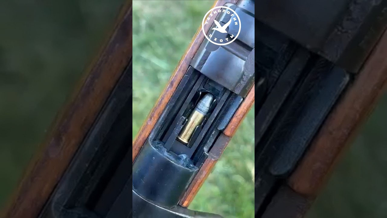 Beretta Olimpia 22lr самозарядная винтовка 