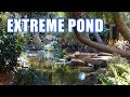 EXTREME POND - POOL MASTERS TOP TEN