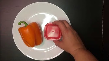 How much food does the 21 Day Fix red container hold?