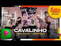 Cavalinho (Remix) - Pedro Sampaio, Gasparzinho | FitDance (Coreografia)