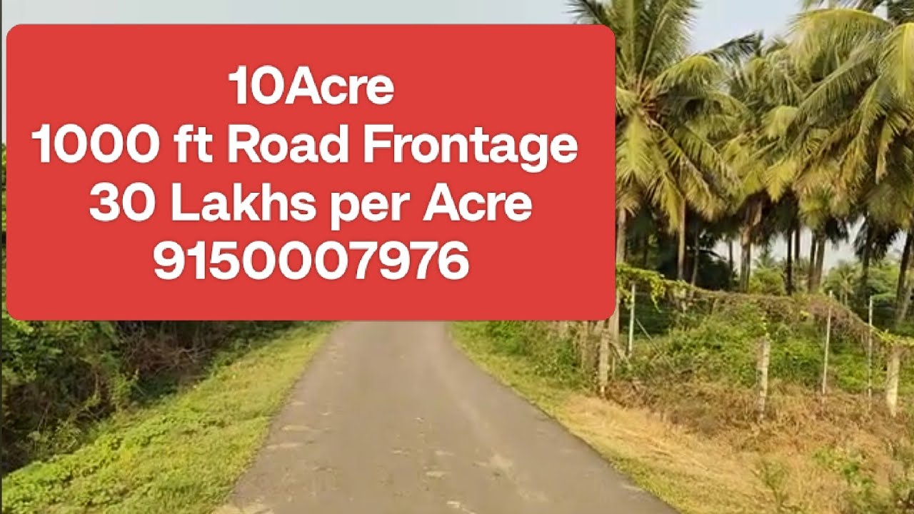 No:99 திண்டிவனம் அருகில் வளமான விவசாய நிலம் 10   ஏக்கர் விற்பனைக்கு  | 9150007976# agriculture #farm