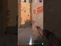 Flashbang nicht vergessen! #csgo#flashbang#gamingclip#viral#fyfy #fypシ゚viral