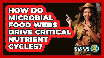 How Do Microbial Food Webs Drive Critical Nutrient Cycles? - Ecosystem Essentials