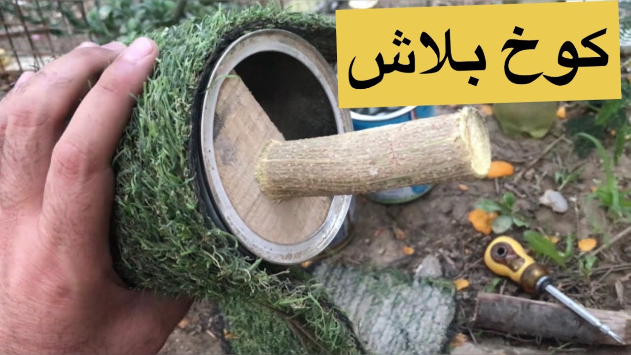 عمل كوخ للفنشات بدون تكاليف