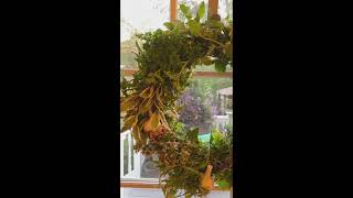 Easy Herb Wreath Using Only Herbs and Vines From The Garden, Free Wreath Making #shorts