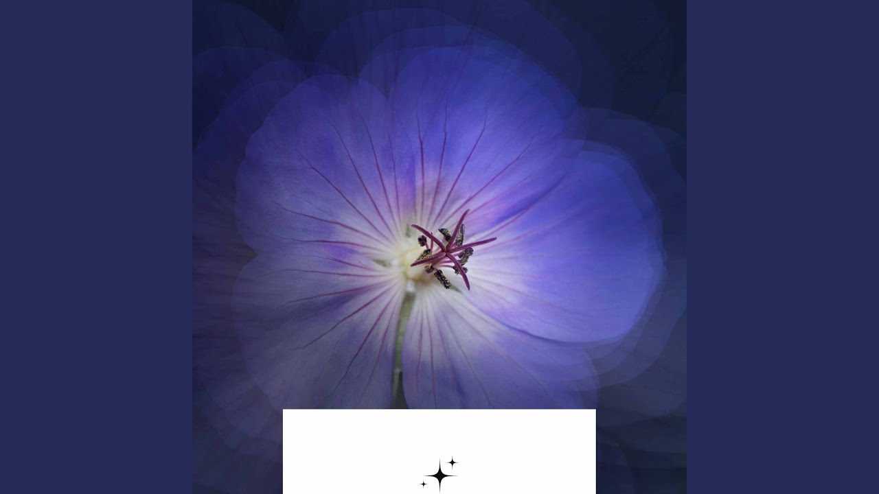 Relaxing Ambiance for Choosing Clarity