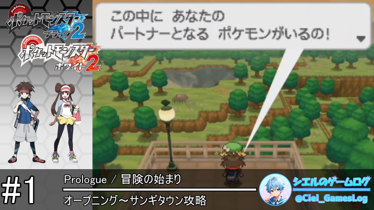 いずページ ご希望ポケモン8体、ストーリー序盤 ブラック2 いずページ ご希望ポケモン8体、ストーリー序盤 ブラック2