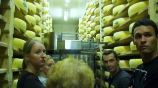 Cheese Rotating Robot