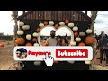 Mayoneza-  Carlsbad Pumpkin Patch