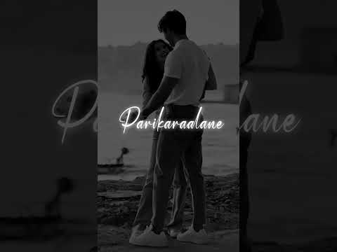 Jawan Movie Lyrical Song Dynamiclyricals Jawanmovie Shahrukh Arjitsingh