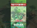 宇宙まで行けるロケットを作ったバカ主人公『ゼルダの伝説ティアーズオブザキングダム』 #shots
