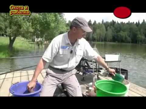 Ловля карпа. Поплавочный практикум. Рыбалка. - YouTube Ловля карпа. Поплавочный практикум. Рыбалка. - YouTube