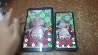 Talking Ben Echo 255