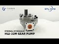Hwm series single pump gear pump  eternal hydraulic