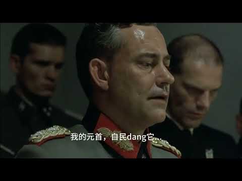 元首的愤怒 当元首得知有人反对他去河北省后