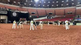 2023 WDE Showmanship south Ring