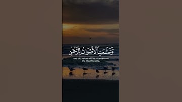 وخشعت الأصوات للرحمن فلا تسمع إلاهمسا | تلاوة خاشعة | تلاوة هادئة تريح النفس