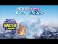 【接触冷感】うさちゃんのひんやりトンネル