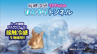接触冷感 うさちゃんのひんやりトンネル Youtube