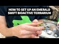 How to set up an Emerald Swift BioActive Terrarium with The Dude